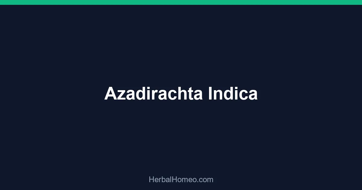 Azadirachta Indica