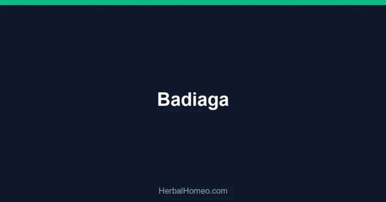 Badiaga