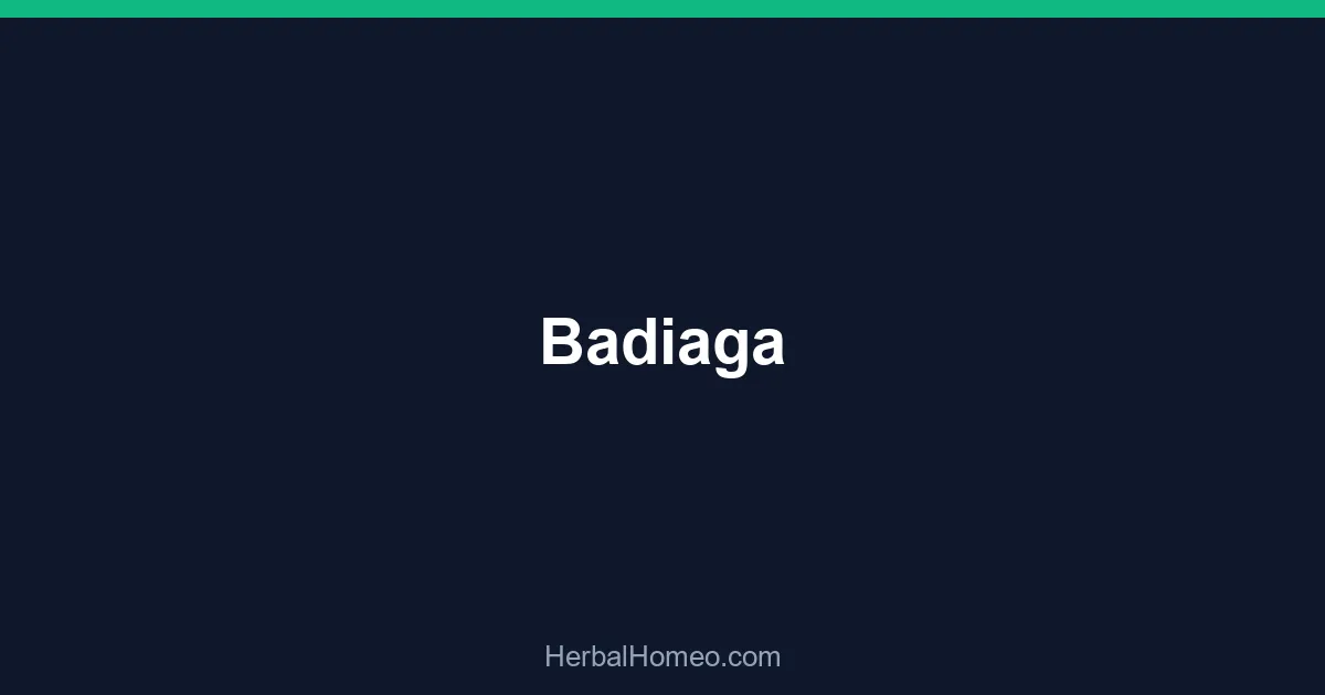 Badiaga