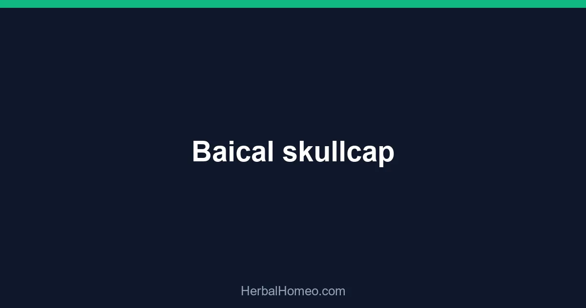 Baical skullcap