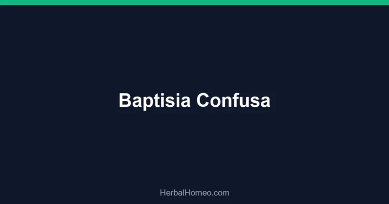 Baptisia Confusa