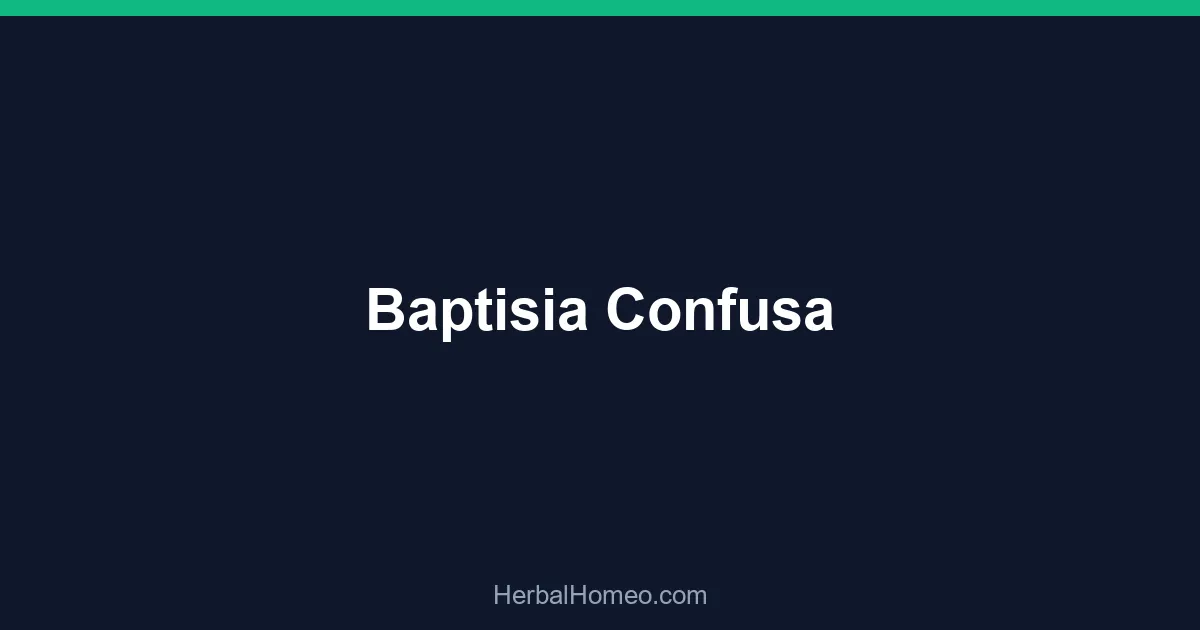 Baptisia Confusa