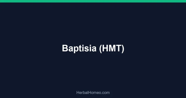 Baptisia (HMT)