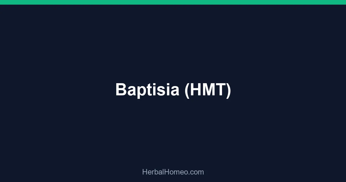 Baptisia (HMT)