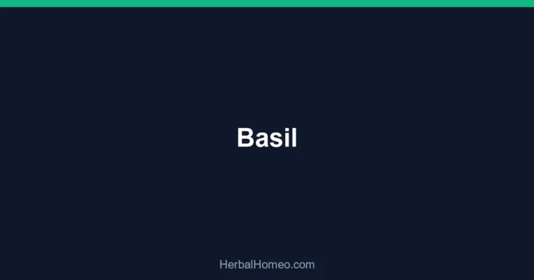 Basil