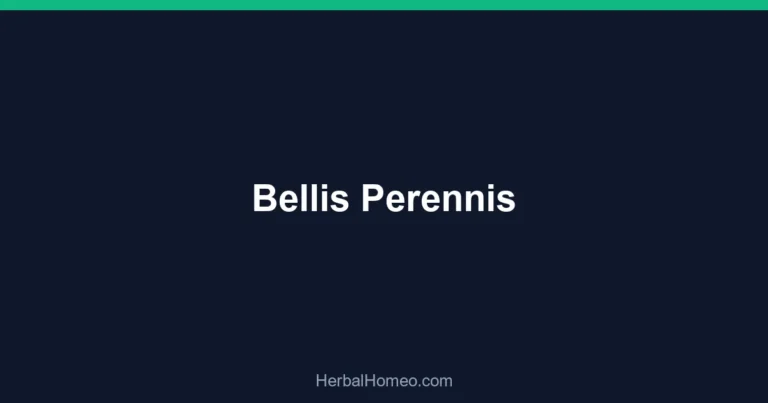 Bellis Perennis