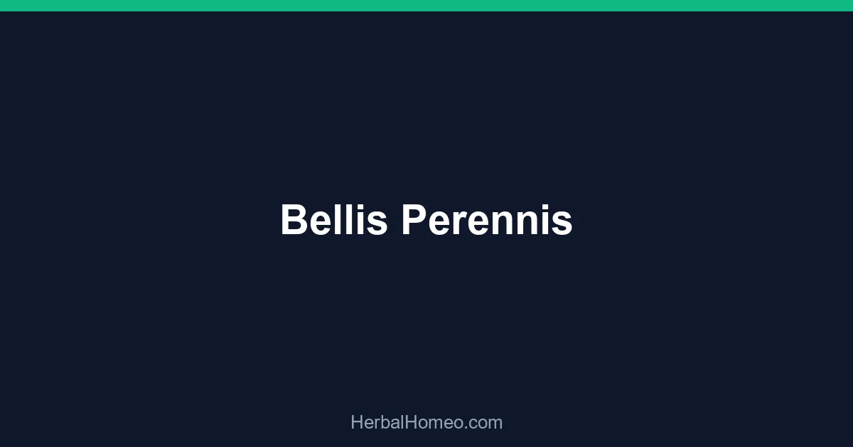 Bellis Perennis