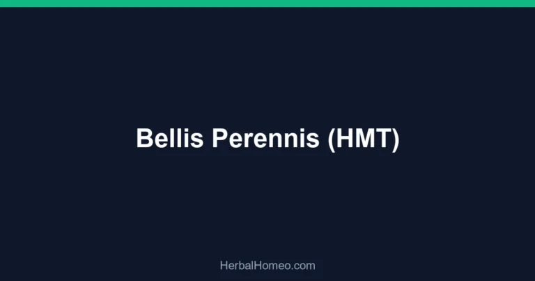 Bellis Perennis (HMT)