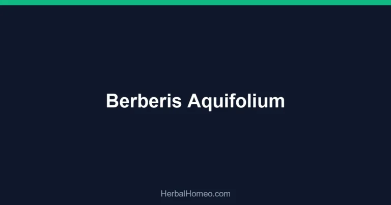 Berberis Aquifolium