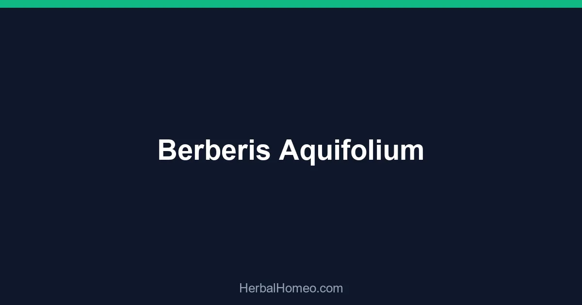 Berberis Aquifolium
