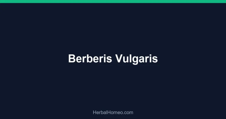 Berberis Vulgaris