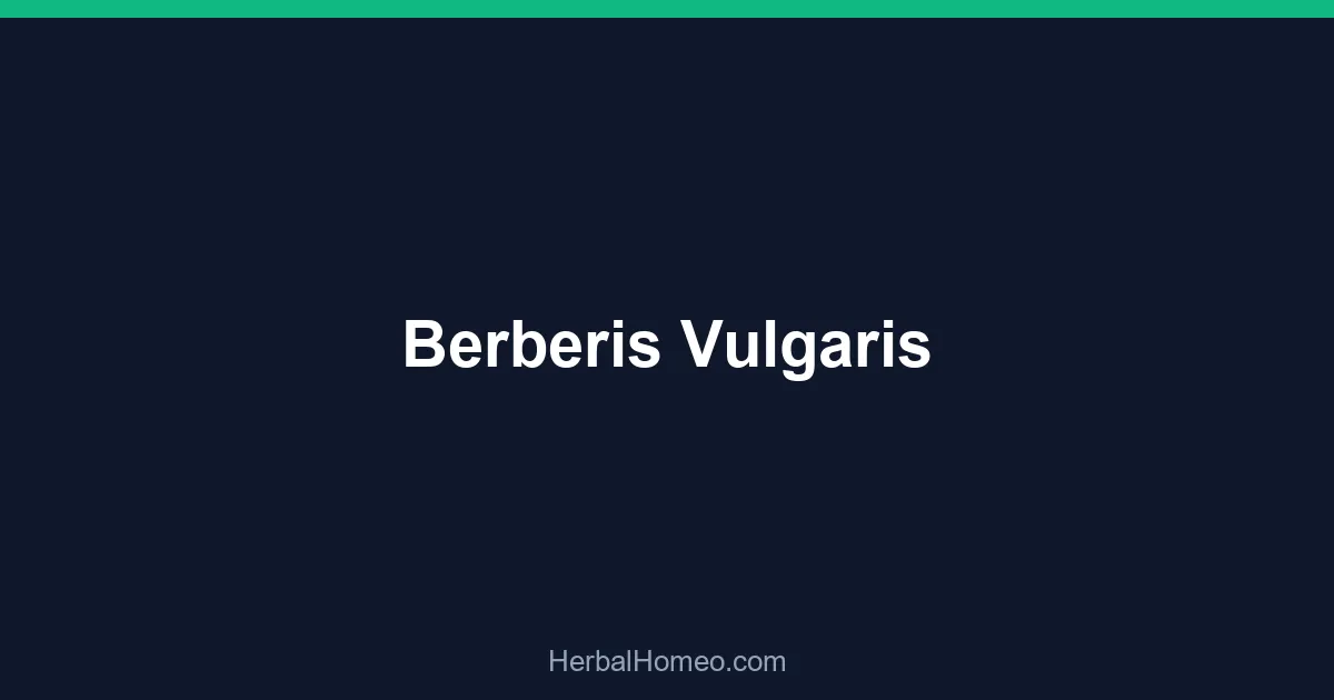 Berberis Vulgaris