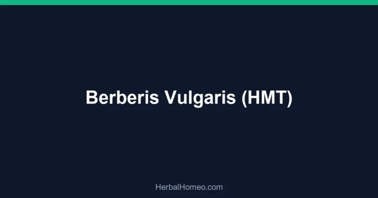 Berberis Vulgaris (HMT)