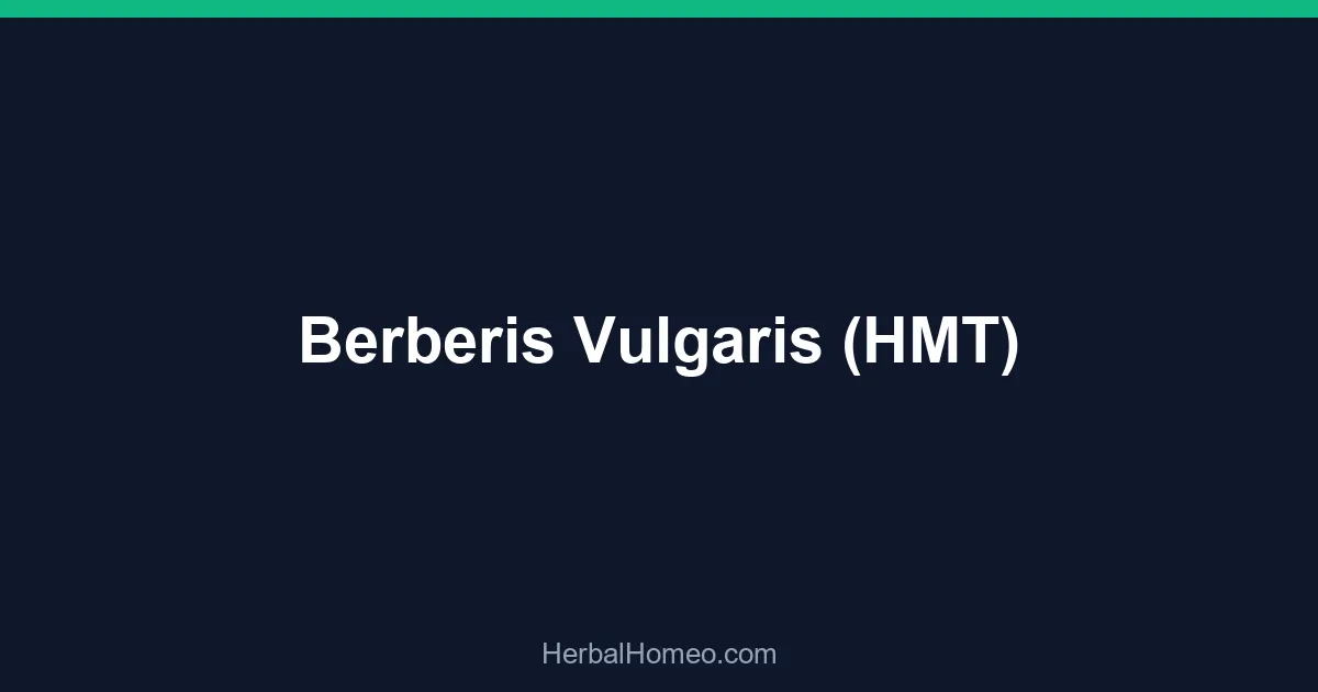 Berberis Vulgaris (HMT)