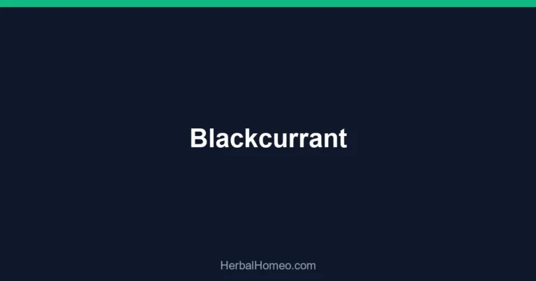 Blackcurrant