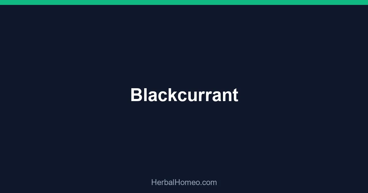 Blackcurrant