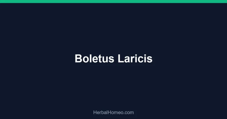 Boletus Laricis