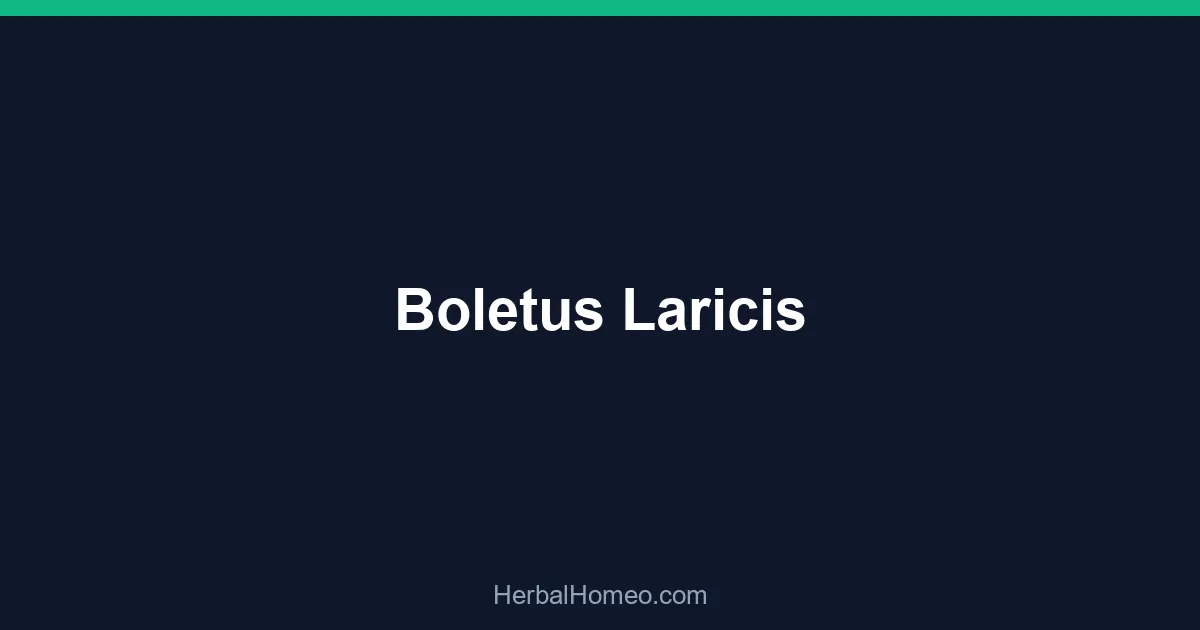 Boletus Laricis
