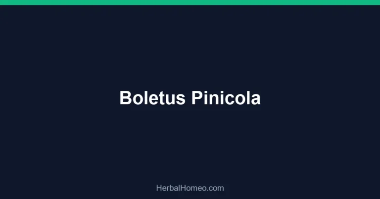 Boletus Pinicola