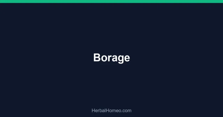 Borage