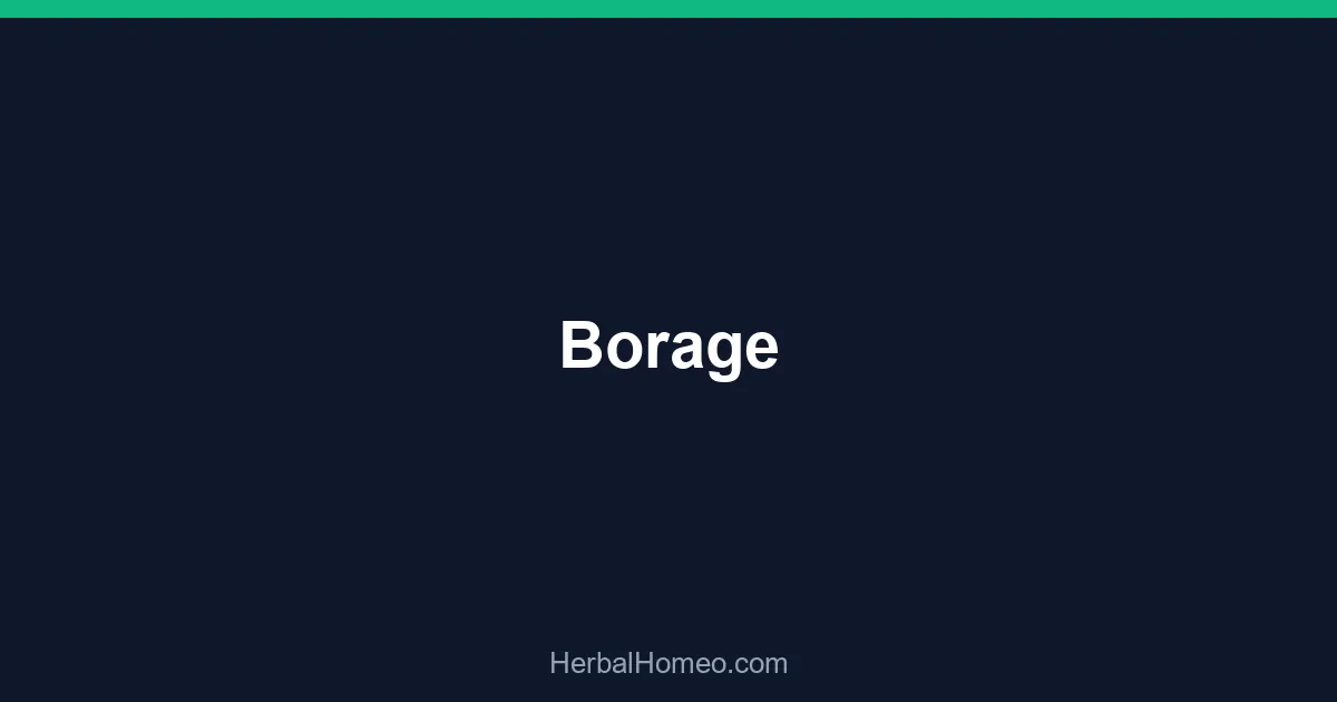 Borage