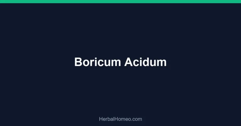 Boricum Acidum
