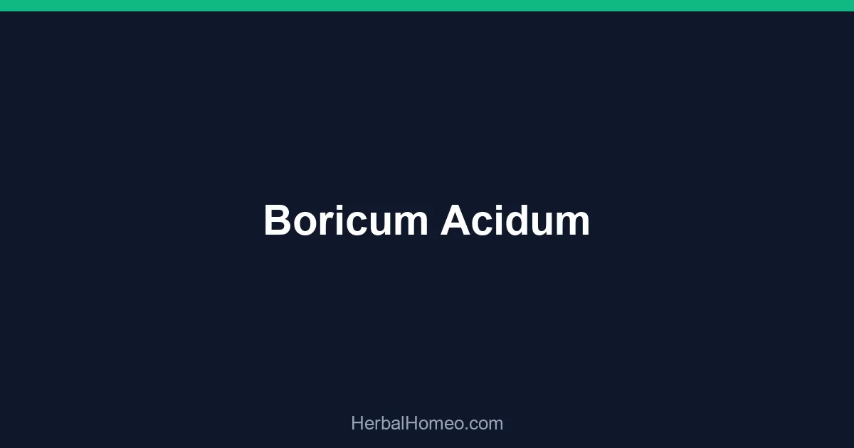 Boricum Acidum