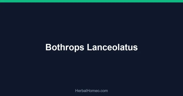 Bothrops Lanceolatus