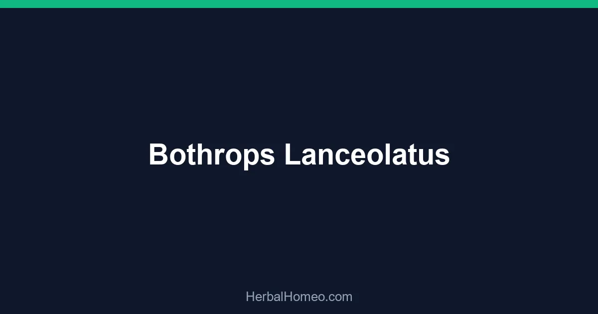 Bothrops Lanceolatus