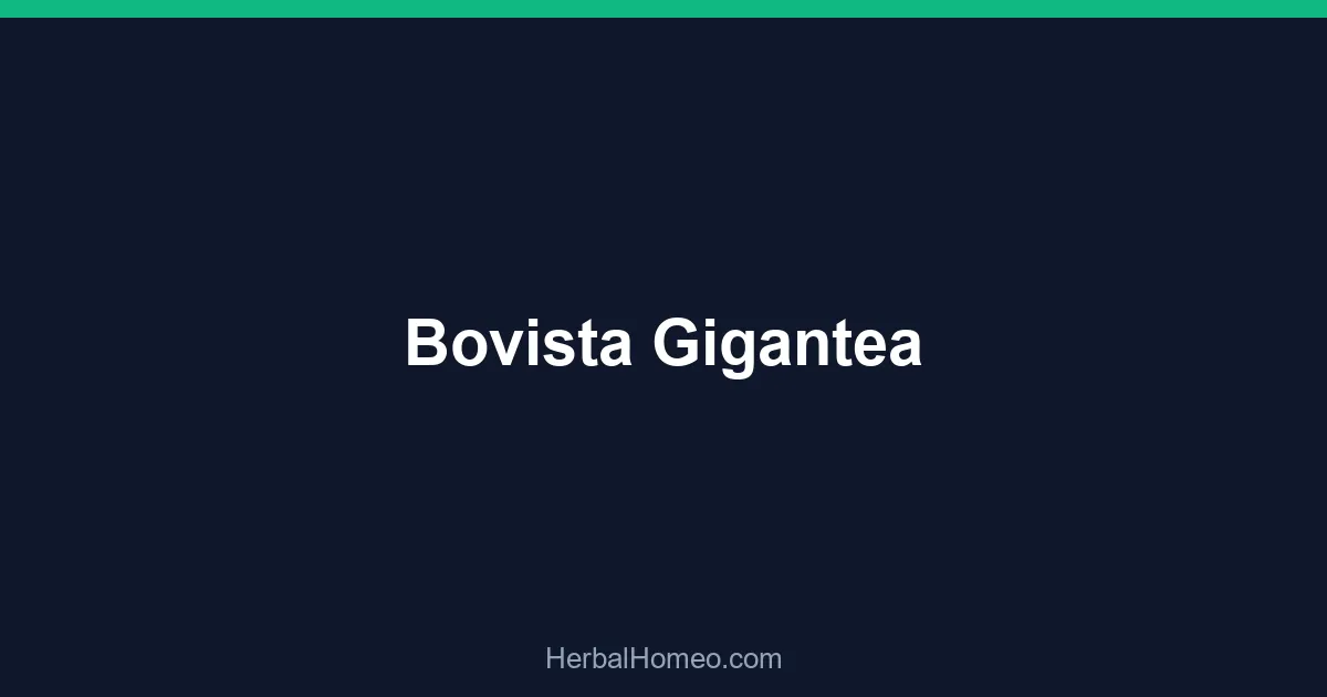 Bovista Gigantea