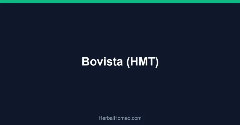 Bovista (HMT)