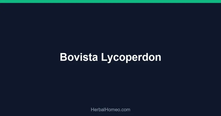 Bovista Lycoperdon