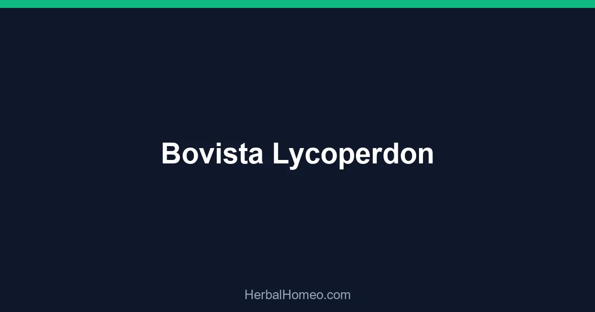 Bovista Lycoperdon