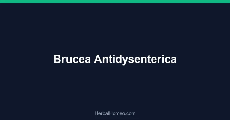 Brucea Antidysenterica