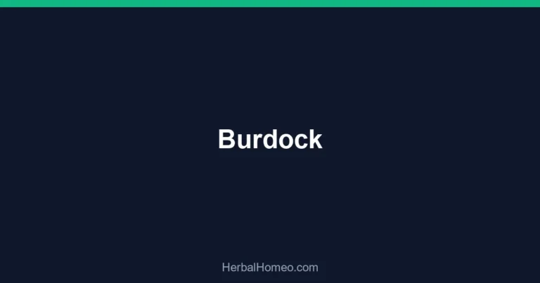 Burdock