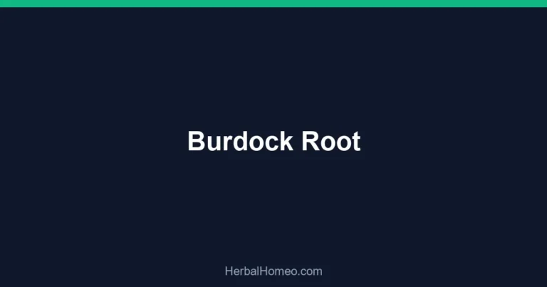 Burdock Root