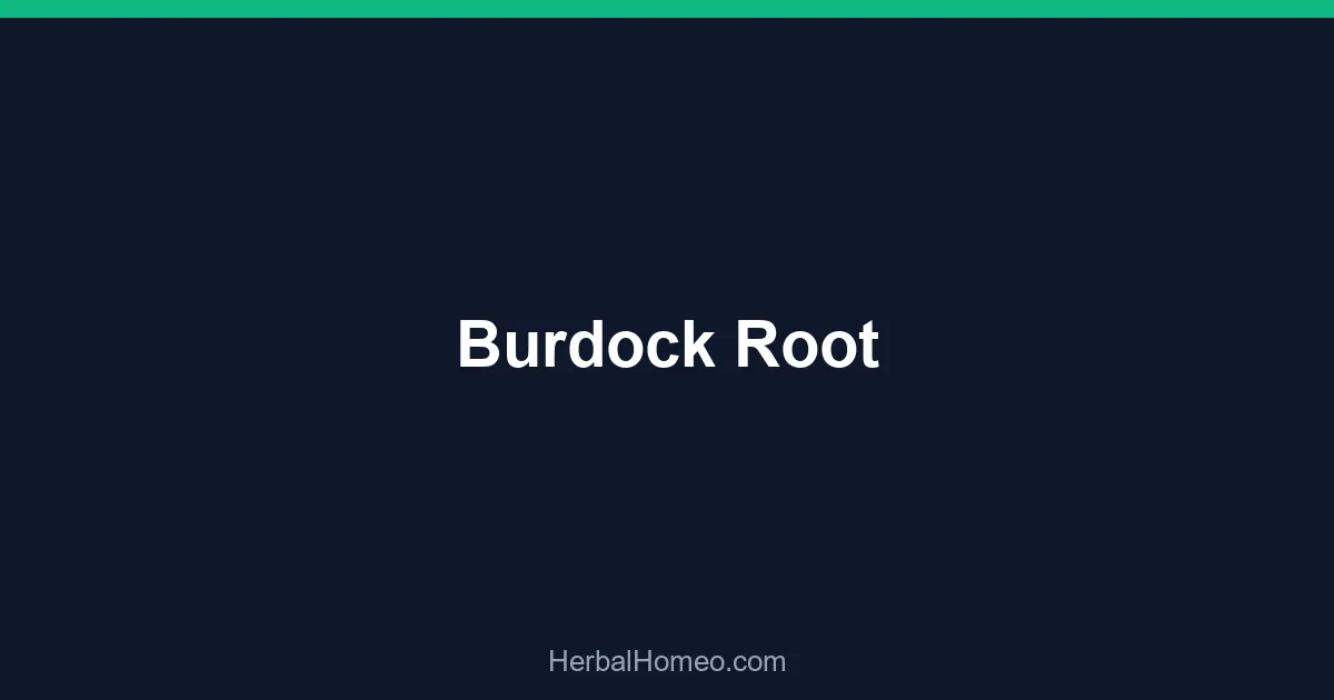 Burdock Root