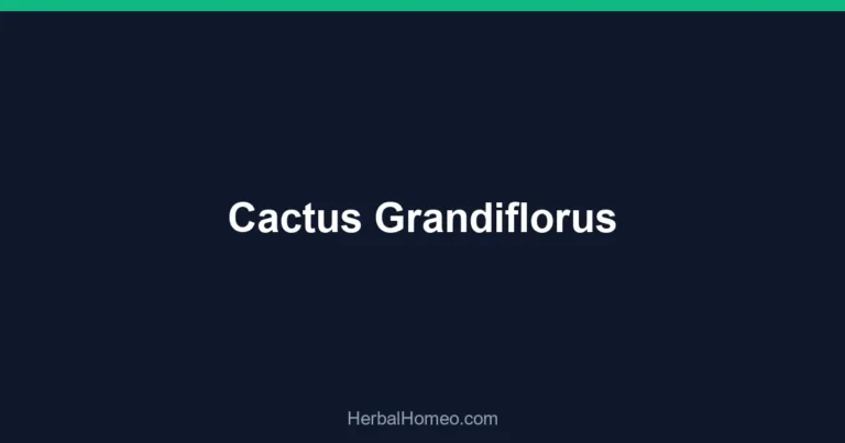 Cactus Grandiflorus