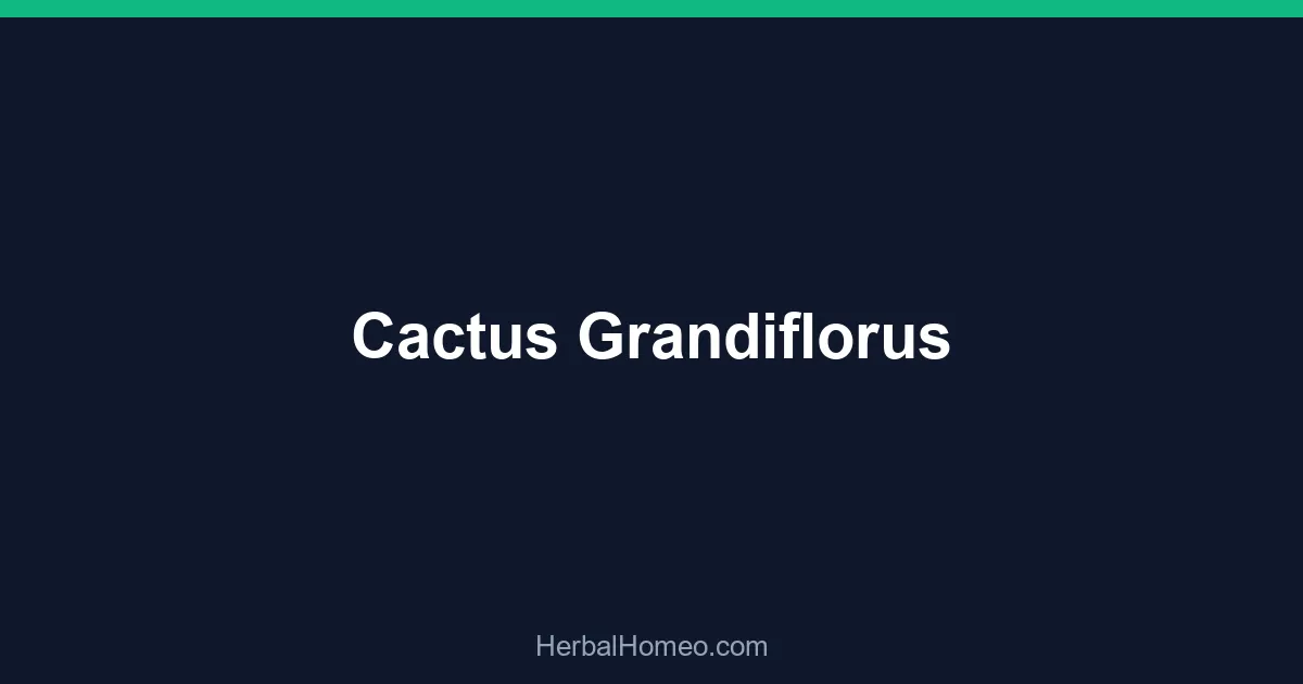 Cactus Grandiflorus