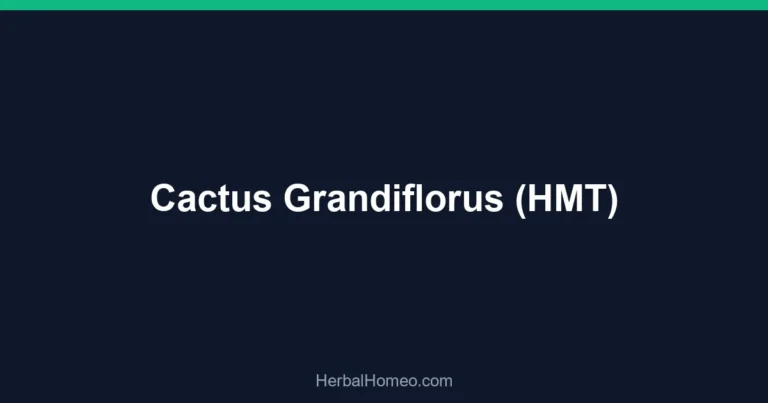 Cactus Grandiflorus (HMT)