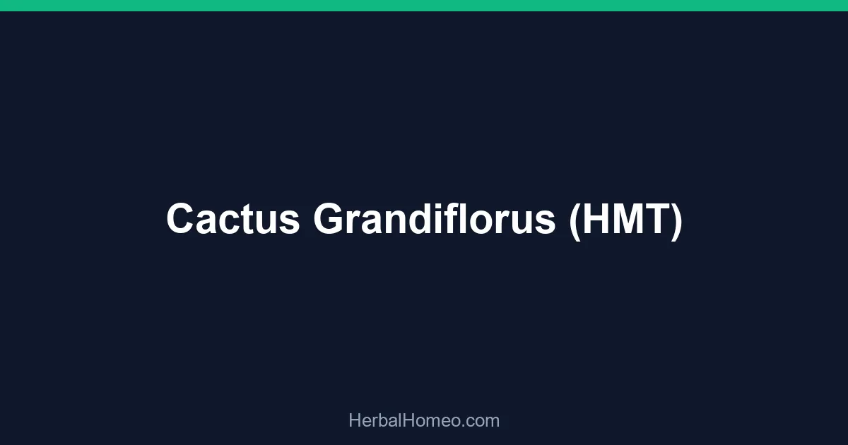 Cactus Grandiflorus (HMT)