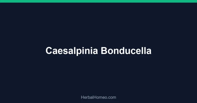 Caesalpinia Bonducella