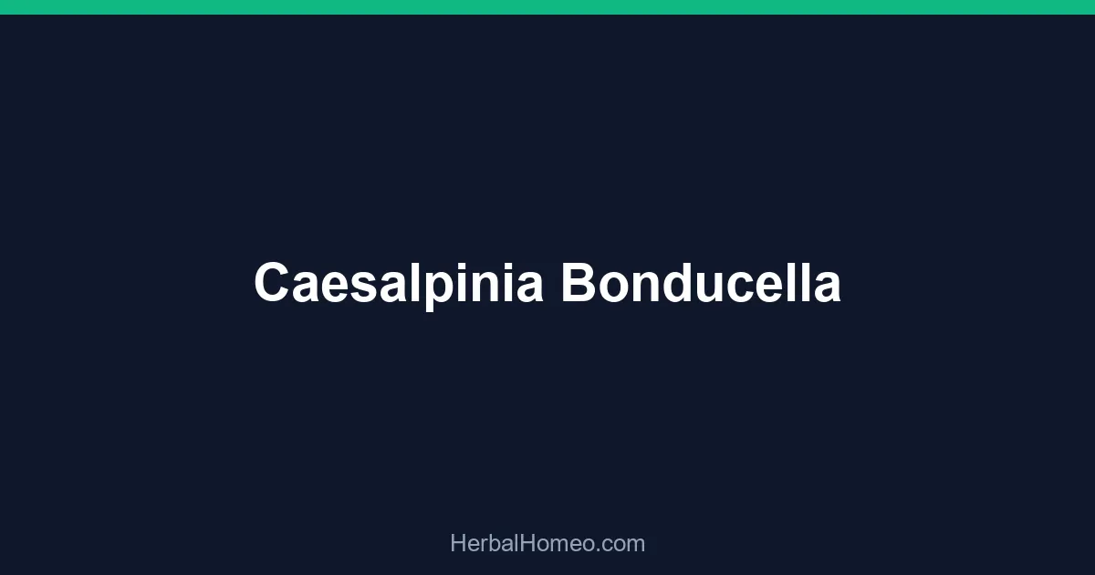 Caesalpinia Bonducella