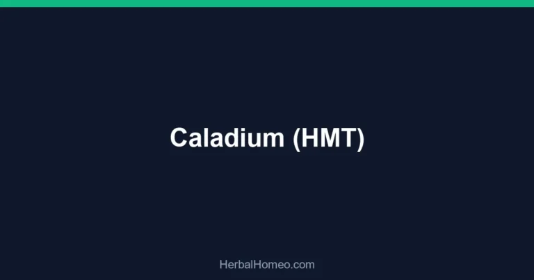 Caladium (HMT)