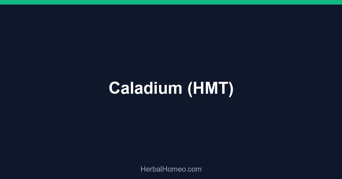 Caladium (HMT)