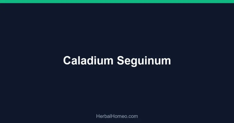 Caladium Seguinum