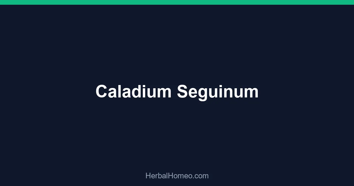 Caladium Seguinum