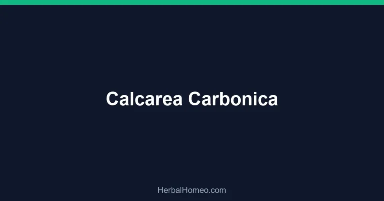 Calcarea Carbonica