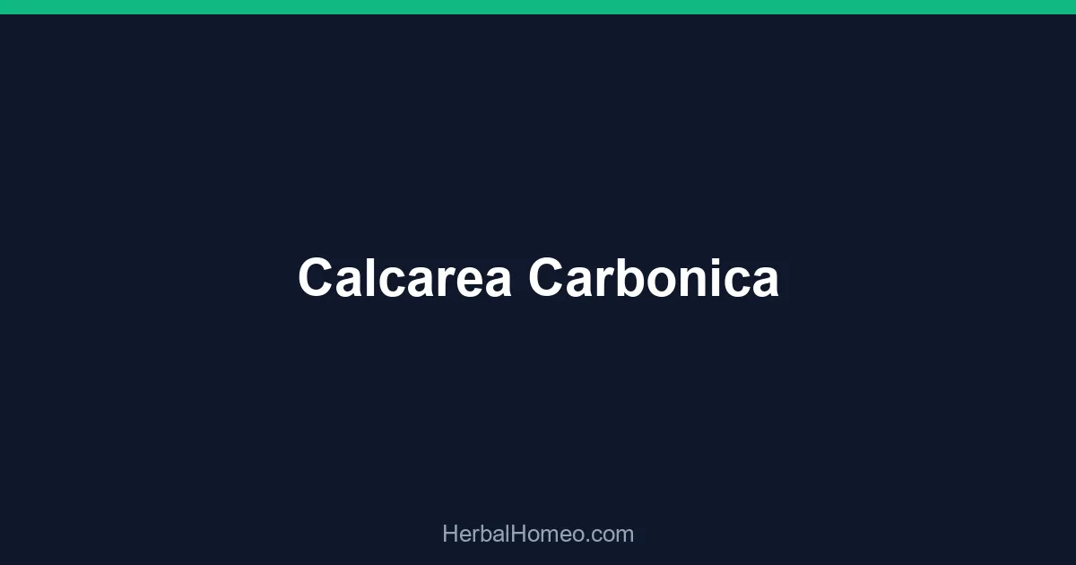 Calcarea Carbonica