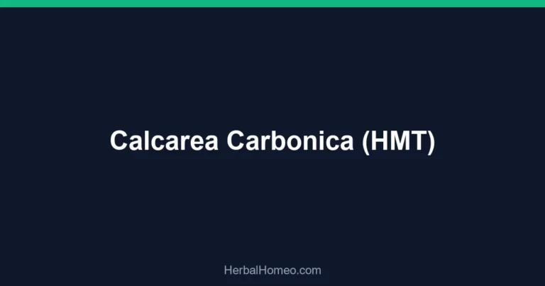Calcarea Carbonica (HMT)